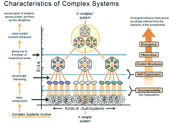 Complex System