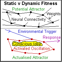 Static v Dynamic Fitness