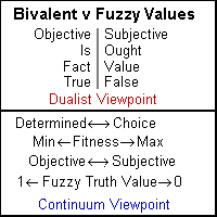 Fuzzy Values