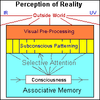 Perception of Reality