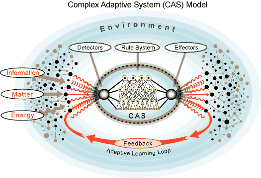CAS Structure