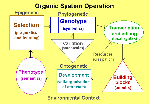 Organic Loop
