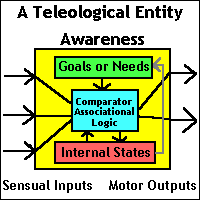 A Teleological Entity