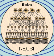 NECSI