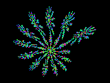 Growing snowflake