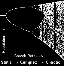 Bifurcation Graph