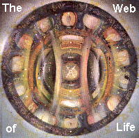 Web of Life