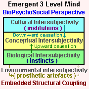 3 Emergent Levels