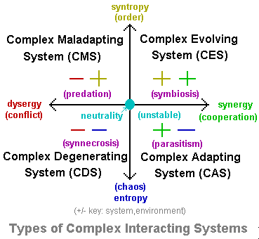Complex Interacting Systems